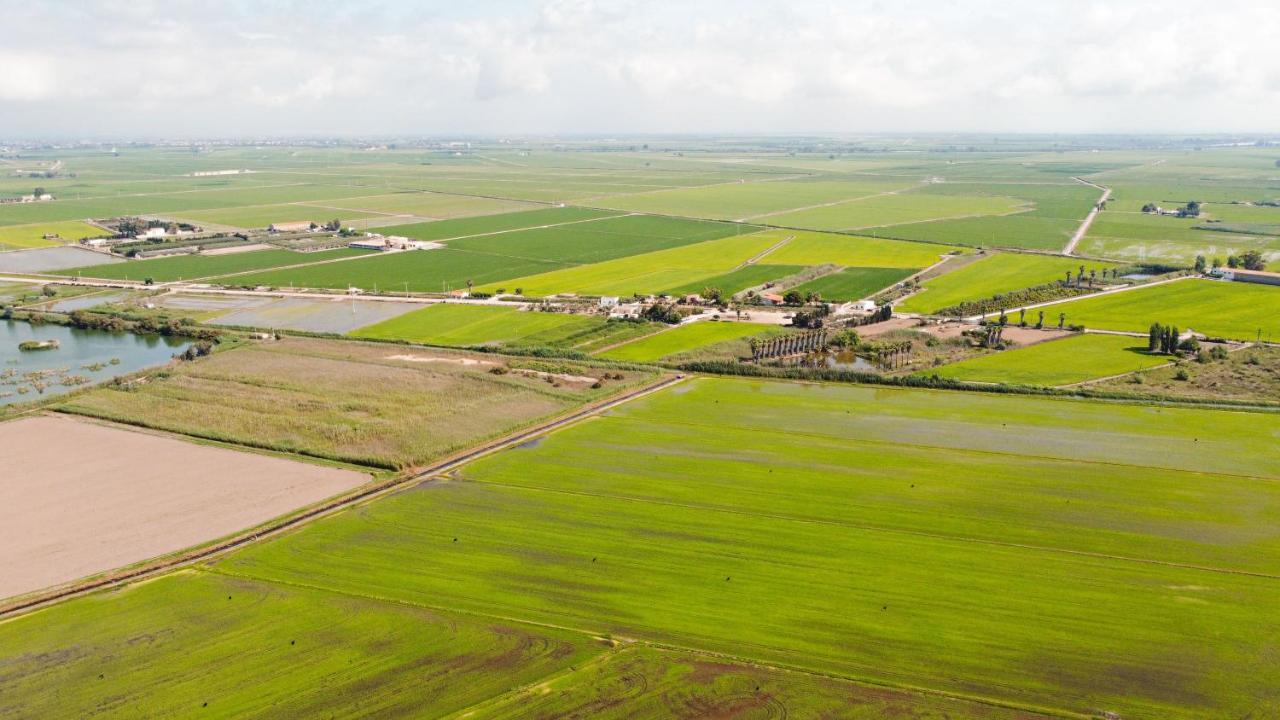 Calito Del Delta Apartman L'Eucaliptus Kültér fotó